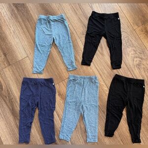 Lot of 5 Posh Peanut leggings size 12-18 months